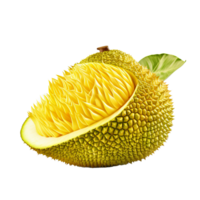 Full-body image of a ripe jackfruit with textured skin, displaying its luscious yellow bulbs, on a transparent background. png
