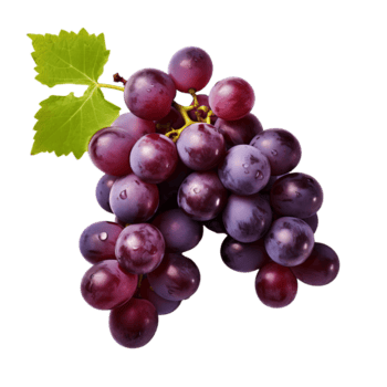 un' dettagliato, tutto il corpo Immagine di un' uva visibile contro un' chiaro sfondo, in mostra suo struttura e colore con no circostante distrazioni. png