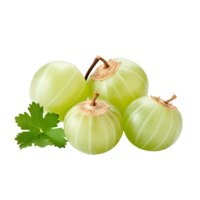 Gooseberry fruit with a complete, unobstructed view, showcased against a clear, invisible backdrop. png