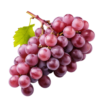 un' completare uva grafico è visualizzato contro un' guardare attraverso sfondo, in mostra suo arrotondato forma e strutturato superficie. png