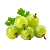 Gooseberry fruit with its full body visible, presented on a transparent background for clear, isolated viewing. png