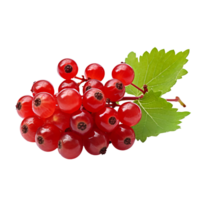 Ripe currant fruit with a detailed full body depiction isolated on a transparent background for versatile design use. png
