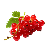 Full-bodied currant fruit with a vivid texture and rich color, displayed on a seamless transparent background. png