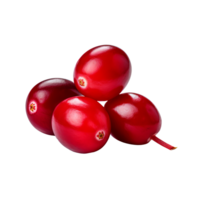 Vivid red cranberry fruit with a detailed full body depiction isolated on a transparent background, showcasing its natural color and shape. png