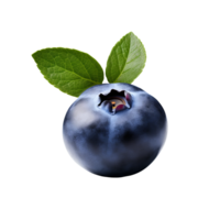Blueberry character with a complete, vividly colored figure displayed against a clear, invisible backdrop. png