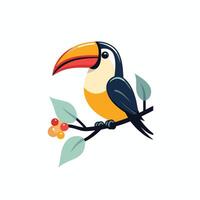 Toucan bird on branch with berries vector
