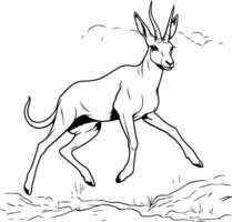 A drawing of a gazelle running on the ground vector