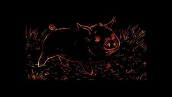 Neon frame effect,Playful Pig on black background video