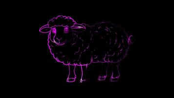 Neon frame effect,Adorable Sheep on black background video