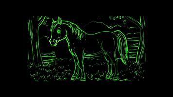 Neon frame effect,Smiling Horse on black background video