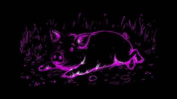 Neon frame effect,Playful Pig on black background video
