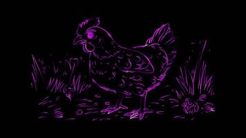 Neon frame effect,Cheerful Chicken on black background video