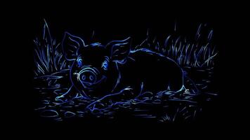 Neon frame effect,Playful Pig on black background video