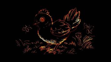 Neon frame effect,Cheerful Chicken on black background video