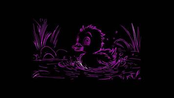 Neon frame effect,Cute Duckling on black background video