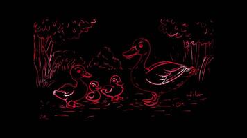 Neon frame effect,Cute Duckling on black background video