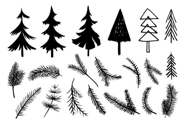 doodle set of coniferous trees and branches in different styles. silhouettes, stylized