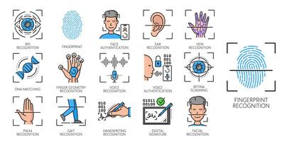 Biometric identification, recognition line icons vector
