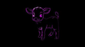 Neon frame effect,Adorable Sheep on black background video