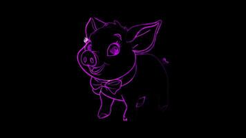 Neon frame effect,Playful Pig on black background video