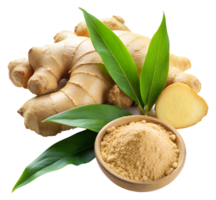 Ginger in different forms ground slices and whole root png