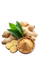 Ginger in cooking powder slices and whole root on a solid background png