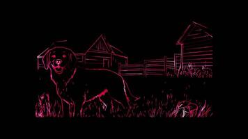 Neon frame effect,Friendly dog on black background video