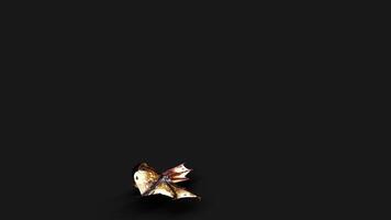 3d Illustration of Flying Vampire bat isolated on dark background with Alpha Matte. video