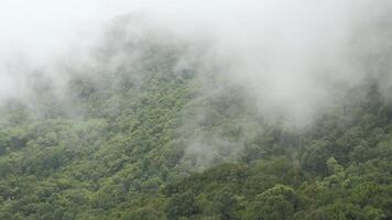 view of the mountain range hill with greenery rain forest and mist cloud fog windy flow over the mountain range in winter daytime video