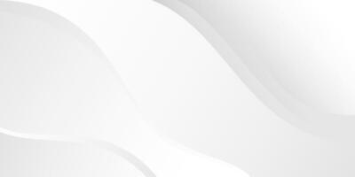 White Abstract Minimal Geometric line Shape background vector