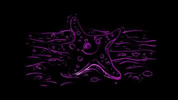 Neon frame effect,A starfish with a cheerful face resting on the ocean floor on black background video