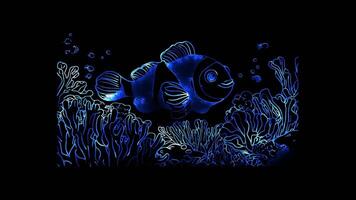 Neon frame effect,Happy Clownfish on black background video