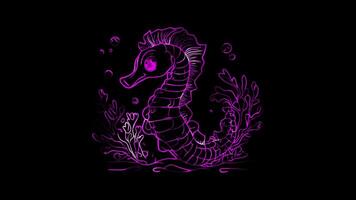 Neon frame effect,seahorse floating gently with a cute on black background video