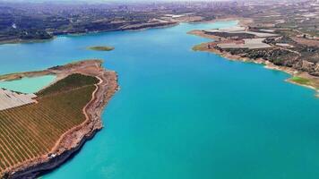 Turquoise lake water glistens under sunlight, highlighting a vineyard along the shore with a city skyline rising in the background on a tranquil summer day video