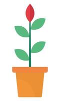 Flat icon of plant with leaves in pot isolated on white background. vector
