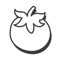 Tomato in a thin line. Tomato icon. Tomato with shadow. vector