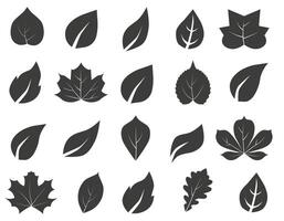 Set of silhouettes of autumn leaves. Autumn design element. vector