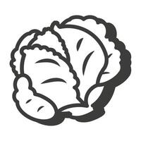 Cabbage in a thin line. Cabbage icon. Cabbage with a shadow. vector