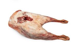 Raw lamb leg photo
