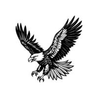 Exploring Bald Eagle Art vector