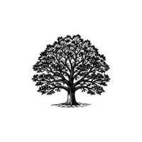 In the Shadow of the Oak Nature Guardian vector