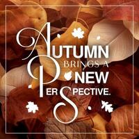 Quotes of Autumn Instagram Post template