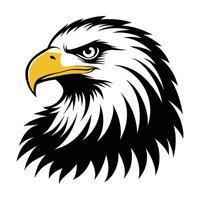 An eagle head on a white background vector