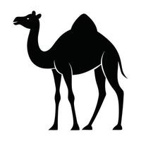 A camel silhouette is shown on a white background vector