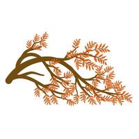 autumn tree with leaf vector