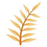 Autumn leaf illustration vector
