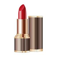 Red lipstick isolated on white background vector