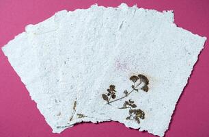 Sheets of recycled paper with dried flowers. Secondary production. Making paper with your own hands at home. photo
