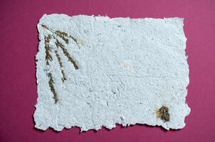 A sheet of paper with dried flowers made of recycled paper. Secondary production. Making paper with your own hands at home. photo