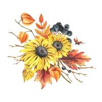 Autumn berries physalis, chokeberry, rowan leaves, maple, birch, russula mushrooms, rudbeckia flowers, tree branches and ladybugs. Watercolor illustrations. Sublimation isolated from the background vector